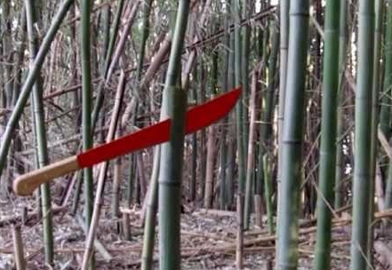How to Cut Bamboo with Machete?
