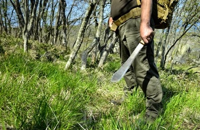 How to use Machete for Hiking- Easy Ways